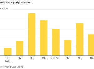 A chart showing central bank gold purchases by quarter.