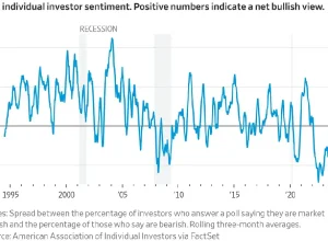 U.S. individual investor sentiment survey