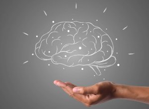 hand holding brain